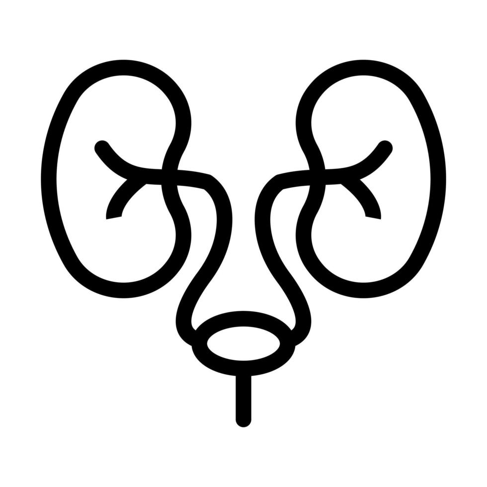 Urology icon